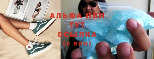 a pvp Бородино