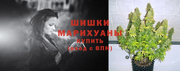 индика Бугульма