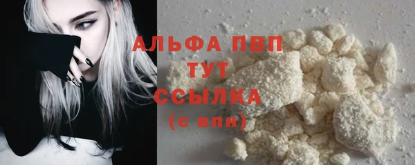 a pvp Бородино
