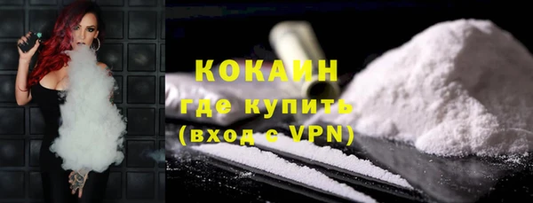 индика Бугульма