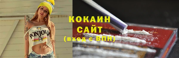 индика Бугульма