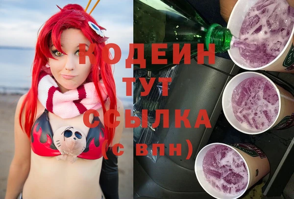 индика Бугульма