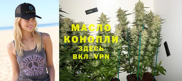 индика Бугульма