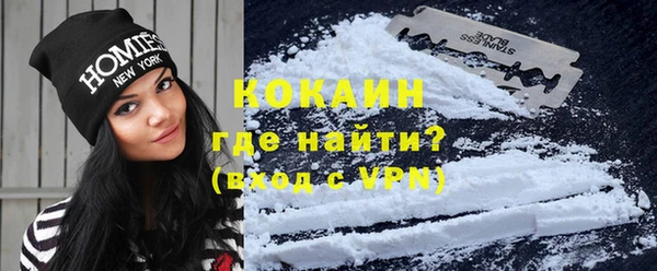 индика Бугульма