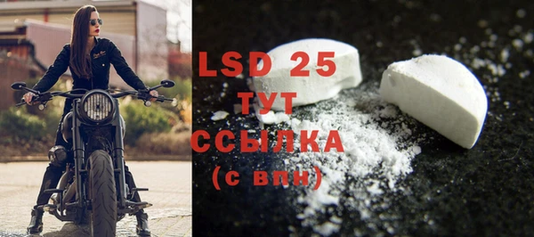 индика Бугульма