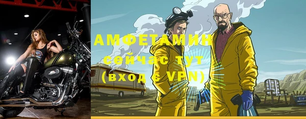 индика Бугульма