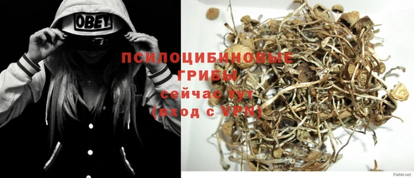 индика Бугульма