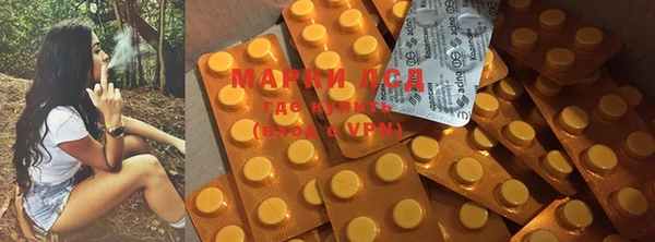 индика Бугульма