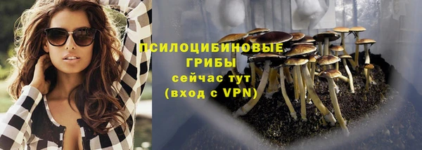 индика Бугульма