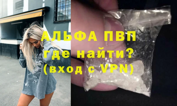 a pvp Бородино