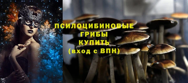 a pvp Бородино