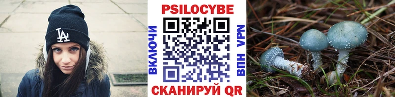 Псилоцибиновые грибы GOLDEN TEACHER  цена   Магнитогорск 